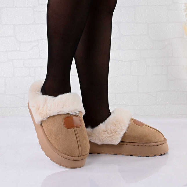 219ea90e8b145b1c5d8c27c27a4aae67