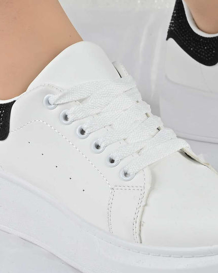 b0e249f942343a97874e6e7061203172