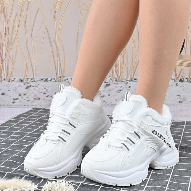 00581ff93a5f3a852c829ec3377eafd2