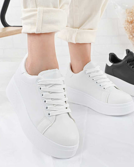 7e539ed925e24c2e78a0f41736040467